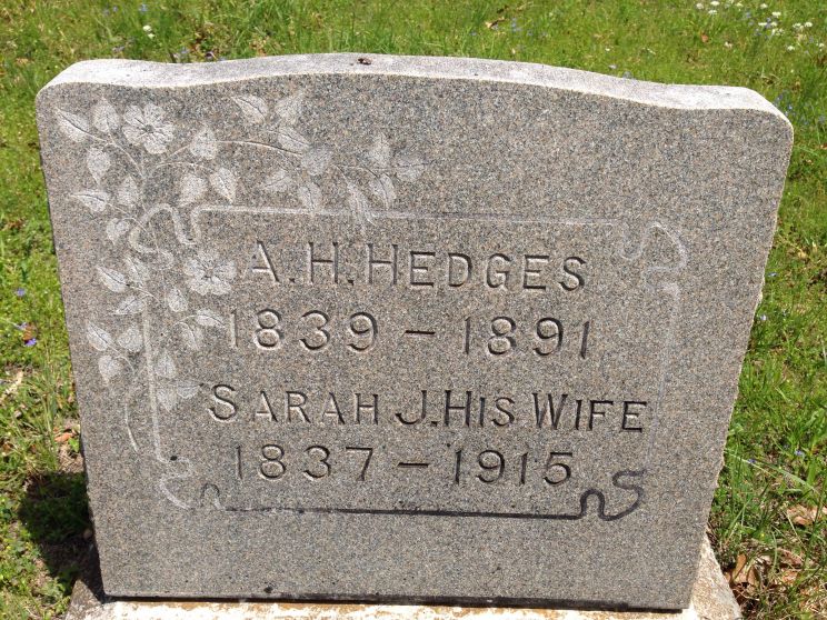 Sarah Jane Hamilton