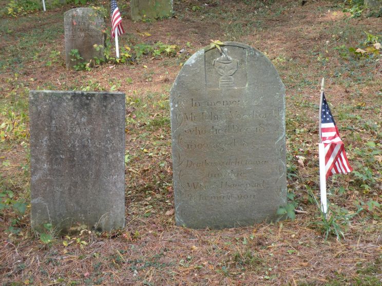 Sarah Phelps