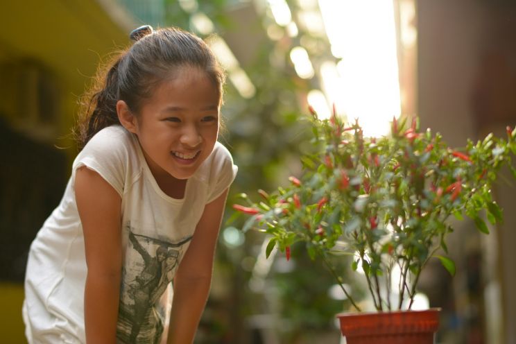Sarah Tan