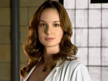 Sarah Wayne Callies