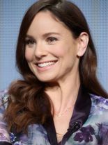 Sarah Wayne Callies