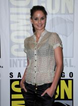 Sarah Wayne Callies