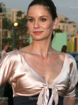 Sarah Wayne Callies