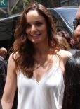 Sarah Wayne Callies