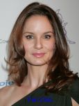 Sarah Wayne Callies