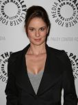 Sarah Wayne Callies