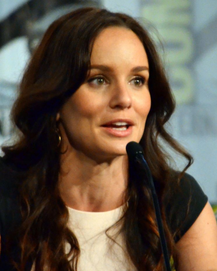 Sarah Wayne Callies