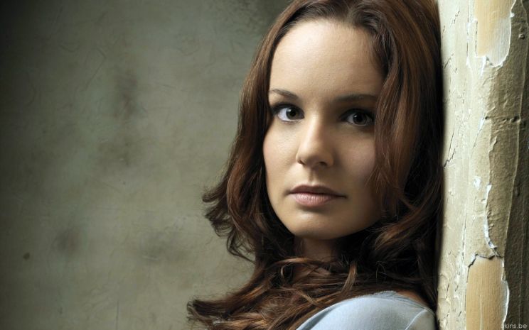 Sarah Wayne Callies