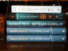 Sarah Winman