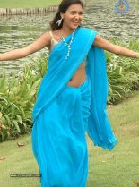 Sarayu Blue