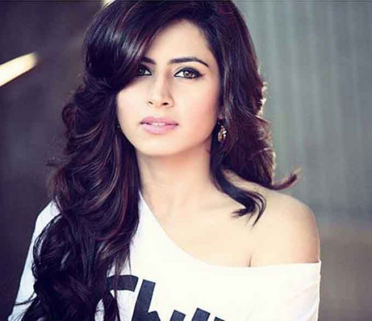 Sargun Mehta Dubey
