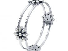 Satara Silver #2761748 picture (Landscape Medium)