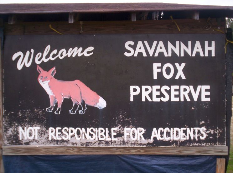 Savannah Fox