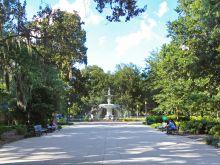 Savannah