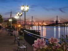 Savannah