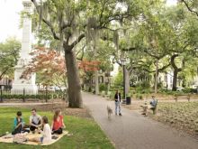Savannah