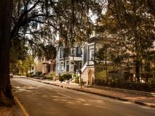 Savannah