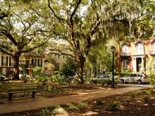 Savannah