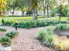 Savannah