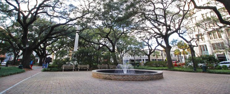 Savannah