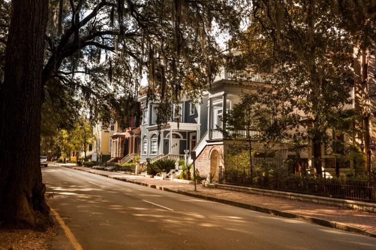 Savannah