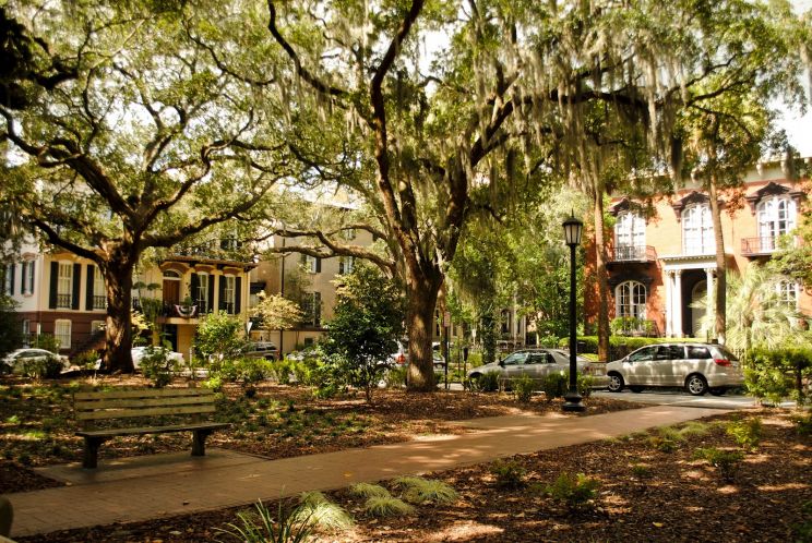 Savannah