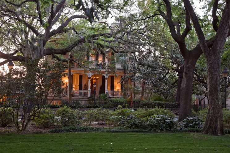 Savannah