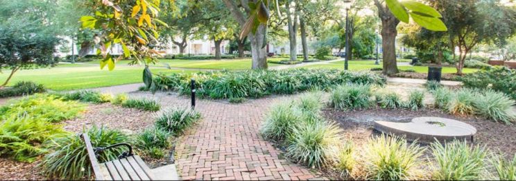 Savannah