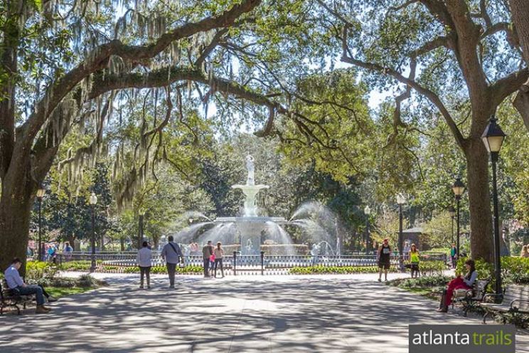 Savannah