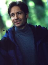 Scott Burkholder