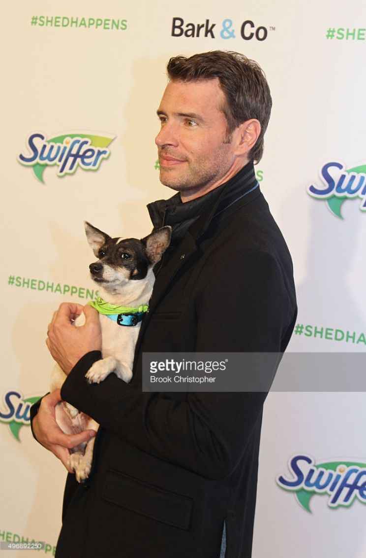 Scott Foley