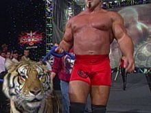 Scott Steiner #3140104 picture (Landscape Medium)