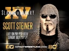 Scott Steiner #3140107 picture (Landscape Medium)