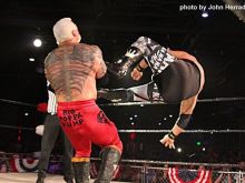 Scott Steiner #3140108 picture (Landscape Medium)