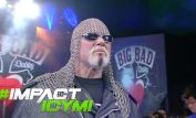 Scott Steiner