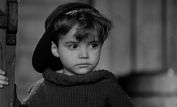 Scotty Beckett