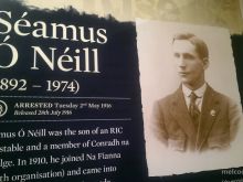 Seamus O'Neill