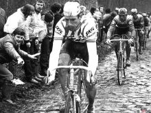 Sean Kelly