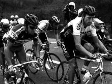 Sean Kelly