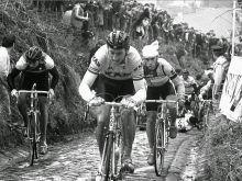 Sean Kelly