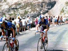 Sean Kelly