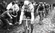 Sean Kelly