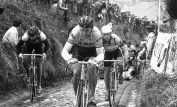 Sean Kelly