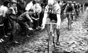 Sean Kelly