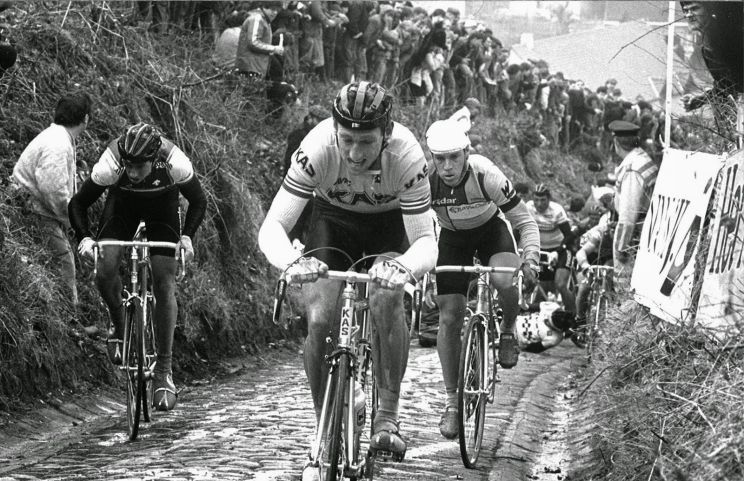 Sean Kelly