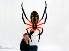 Sean Kenney