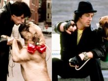Seargeoh Stallone