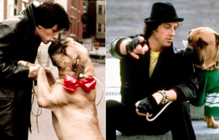 Seargeoh Stallone
