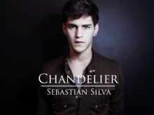 Sebastián Silva