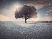 Serenity